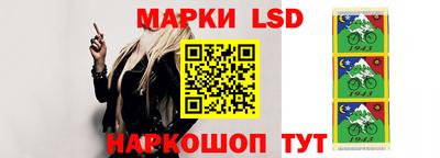 гидропоника Можга