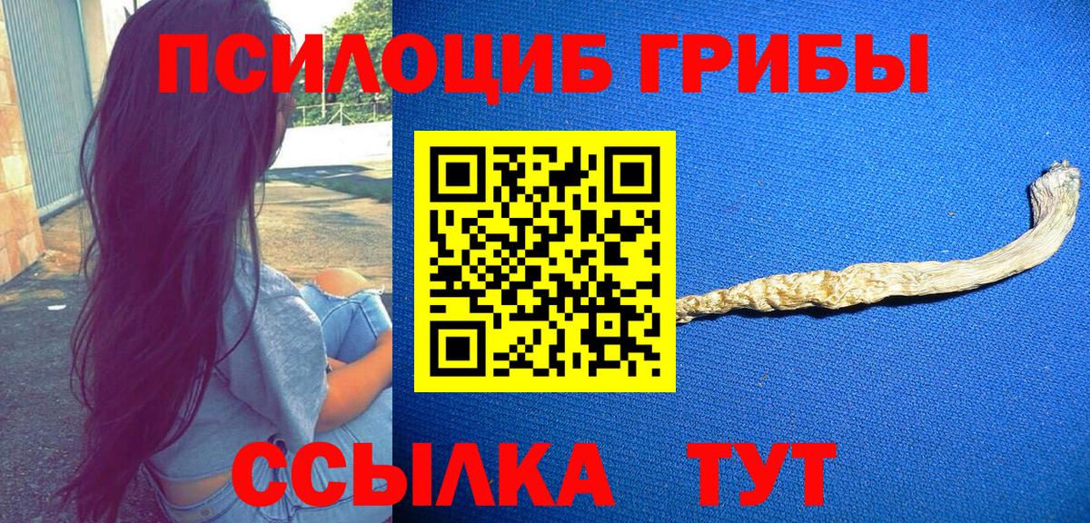 Псилоцибиновые грибы Cubensis  Галлюциногенные грибы Cubensis  Домодедово  Вход с VPN 