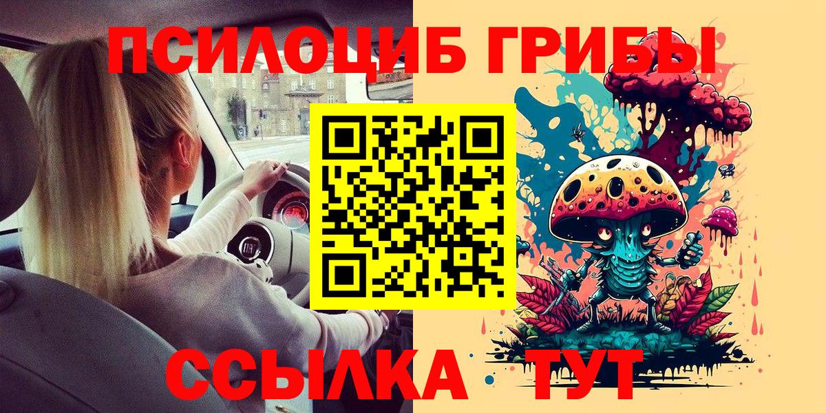 Псилоцибиновые грибы прущие грибы Домодедово